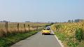 De namiddagrit verkennen we het Pajottenland en de Vlaamse Ardennen, met de Hellingen en Kasseistroken uit de Ronde van Vlaanderen (1)